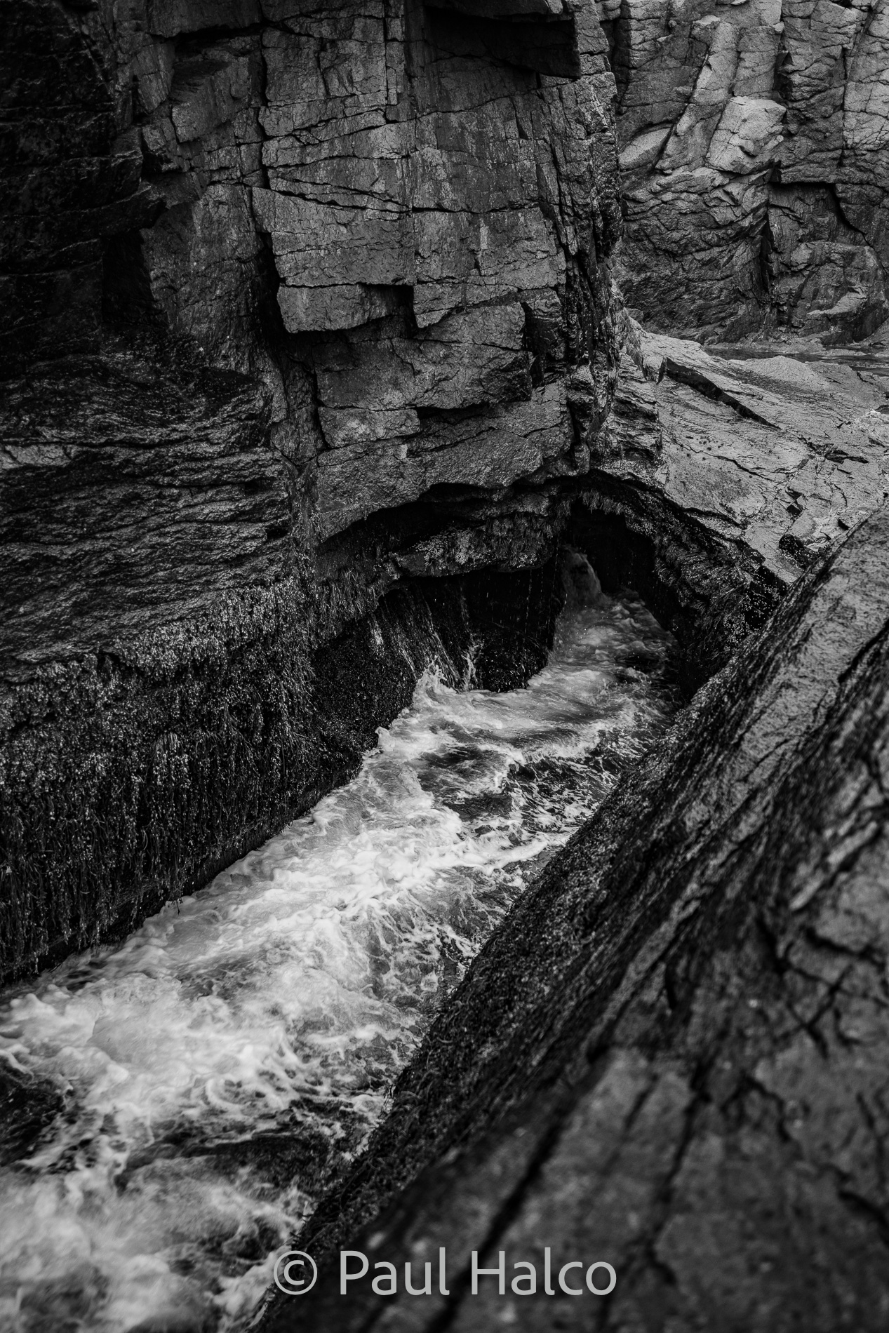 Paul Halco-Acadia NP-27